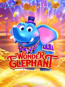 Explore o Fascinante Mundo de WonderElephant